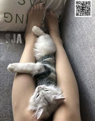 好看的都市电视剧国产_DVD在线观看